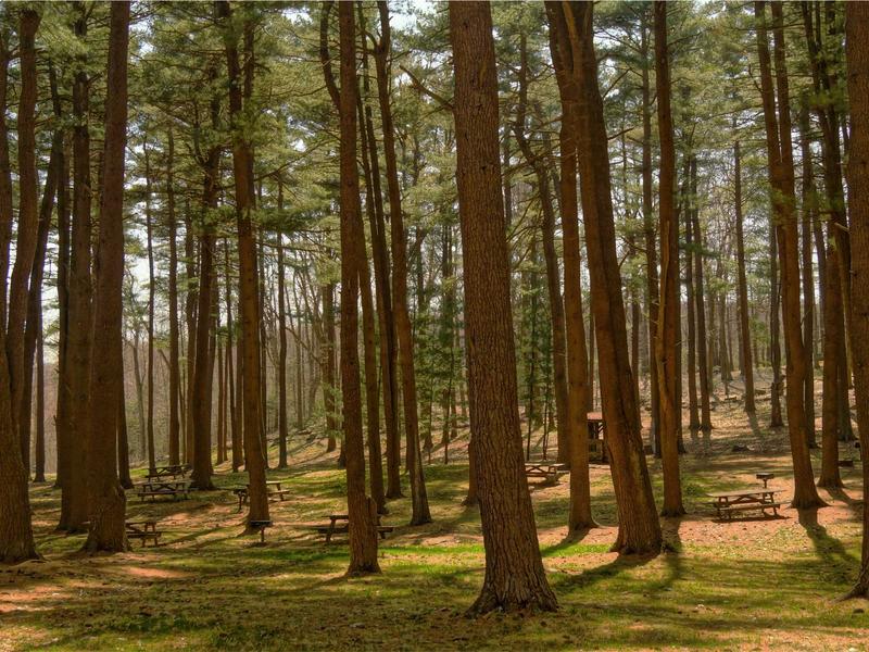 sudoku android app screenshot 3